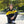 Official League Coaches ColorBlock Jacket
