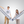 The Limited 2025 White Aht Co-Brand Scarf