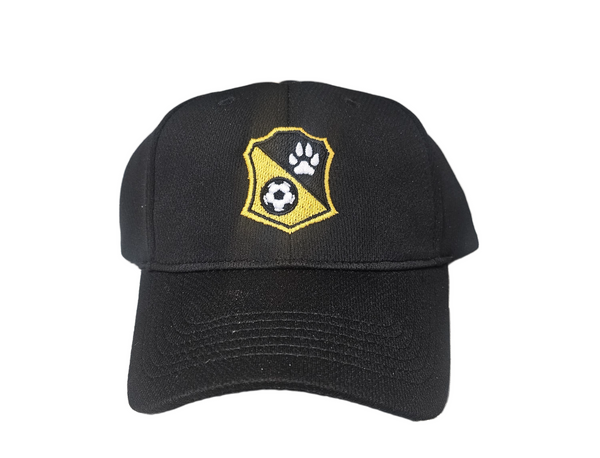 Youth Riverhounds Abbreviated Hat